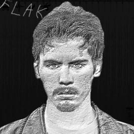 Flak cover art
