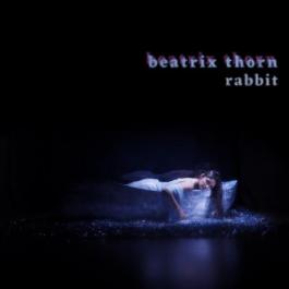 rabbit cover
