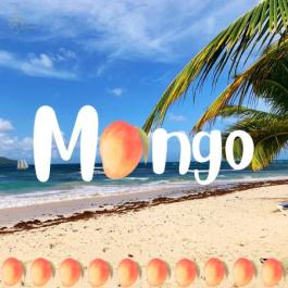 Mango art